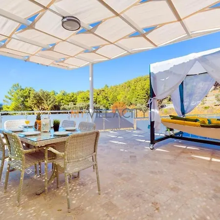 With Pool And Nature View